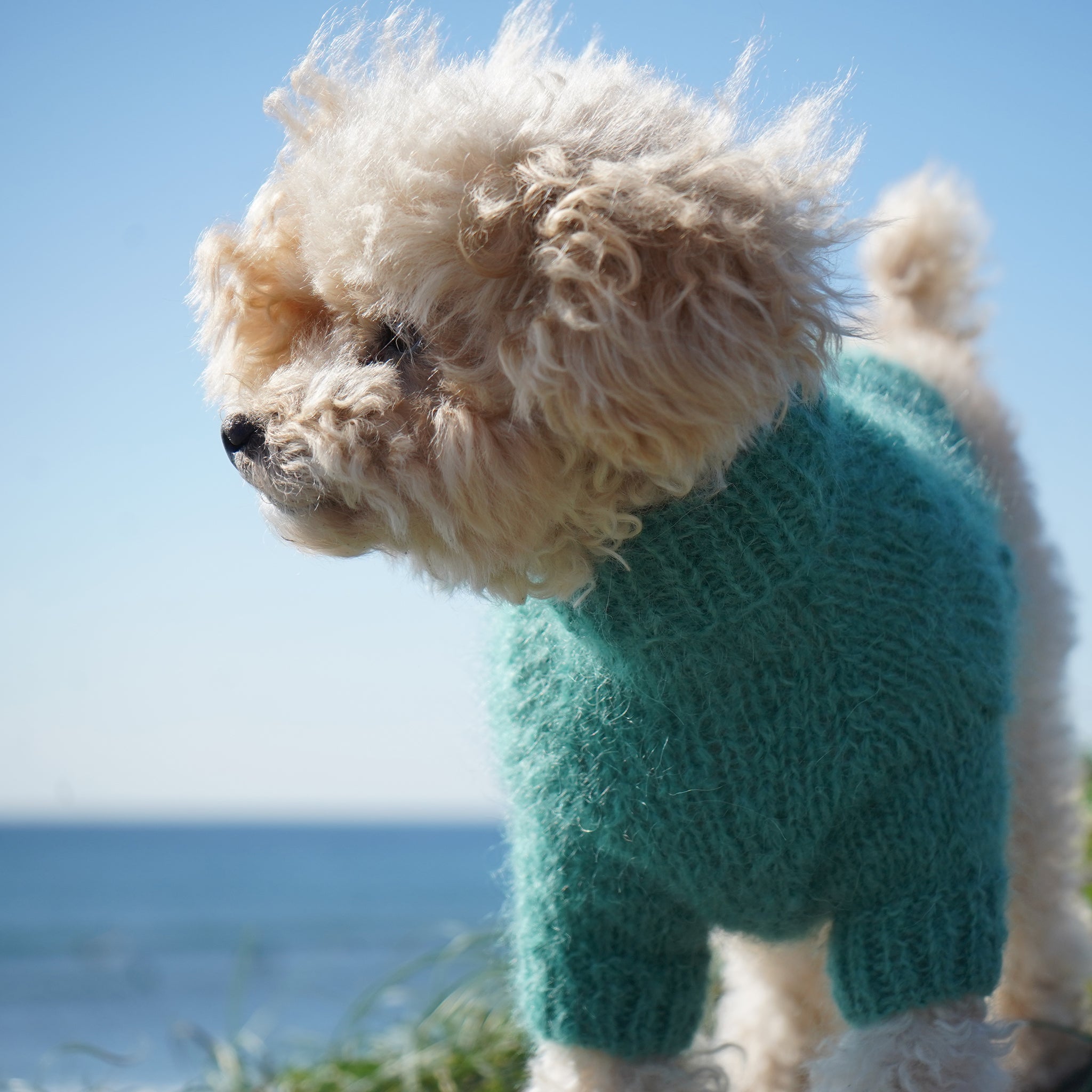 openwork sweater 001