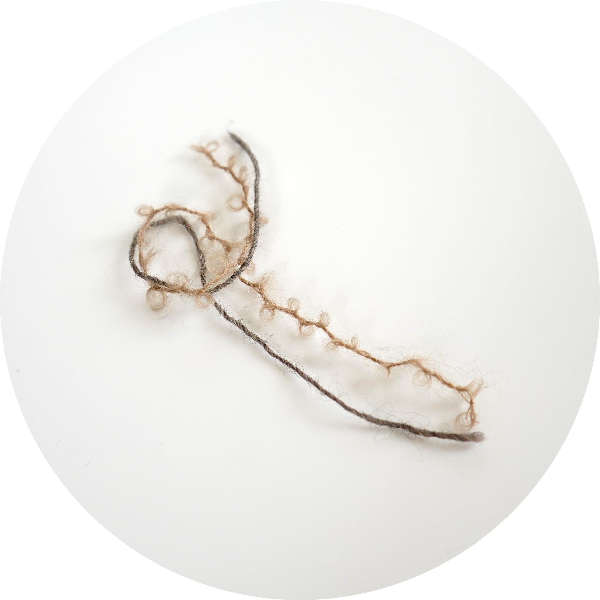 プードルの毛並みみたいなブークレの毛糸